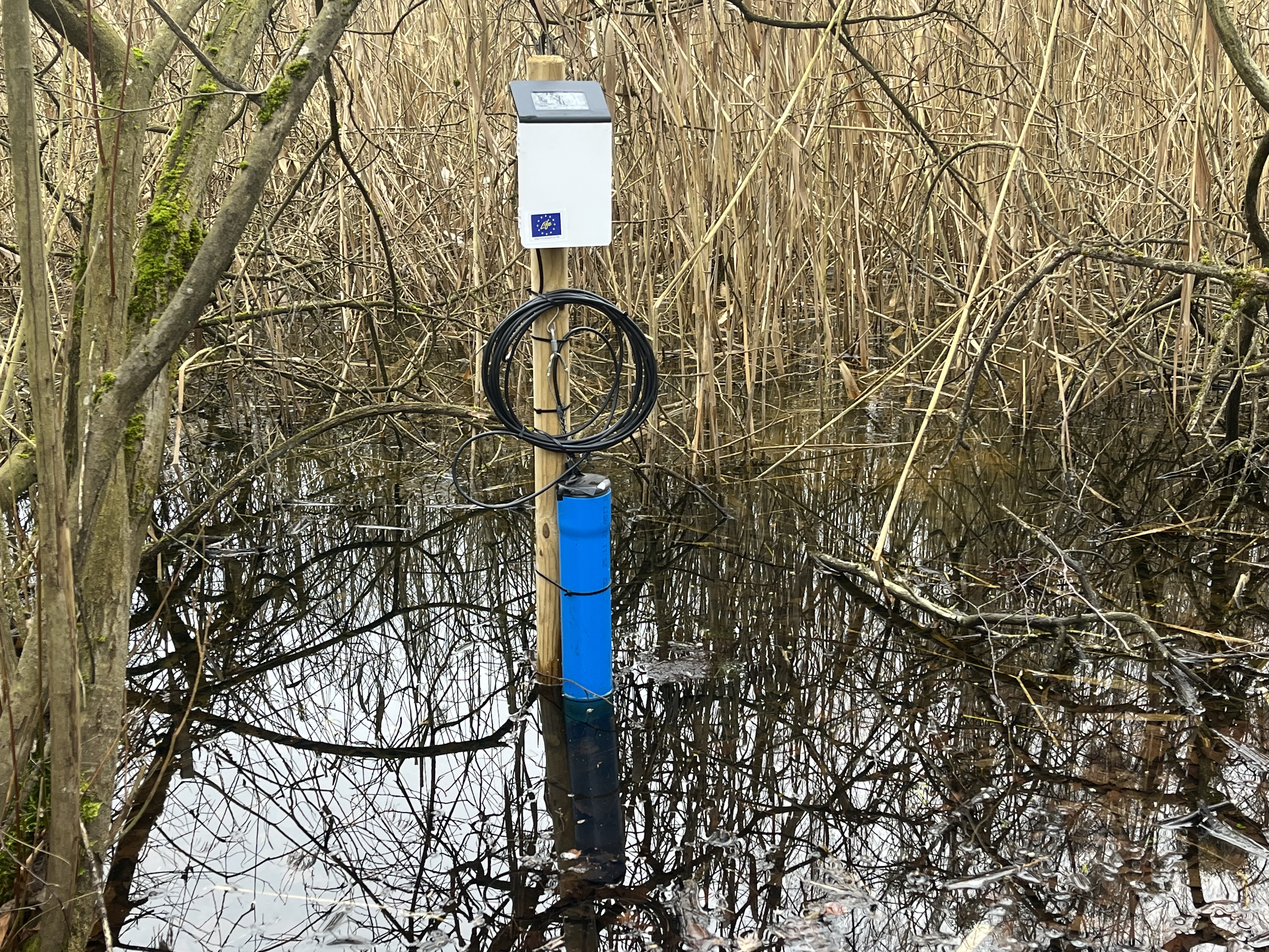 Peatland in Germany