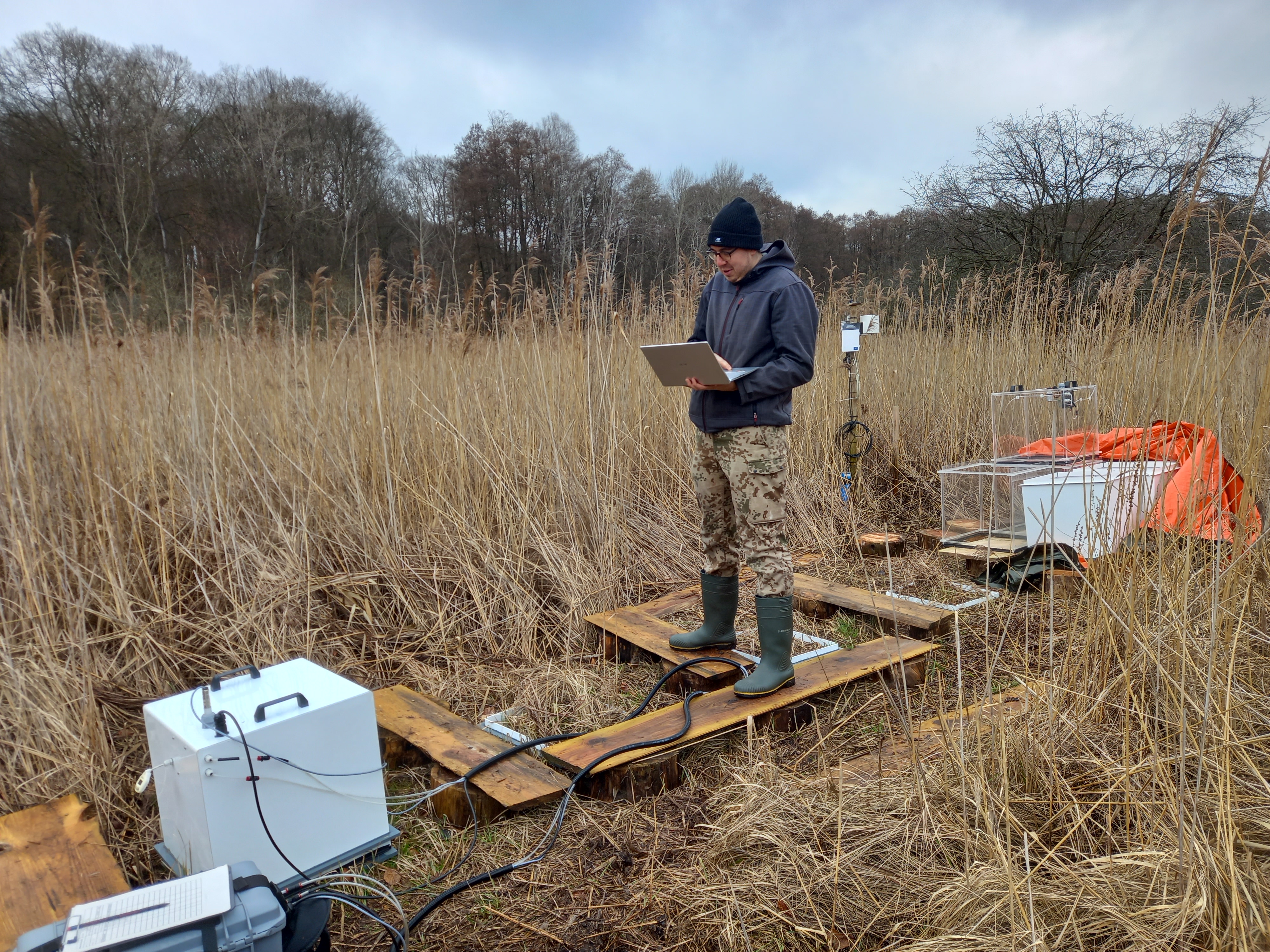 Peatland in Germany