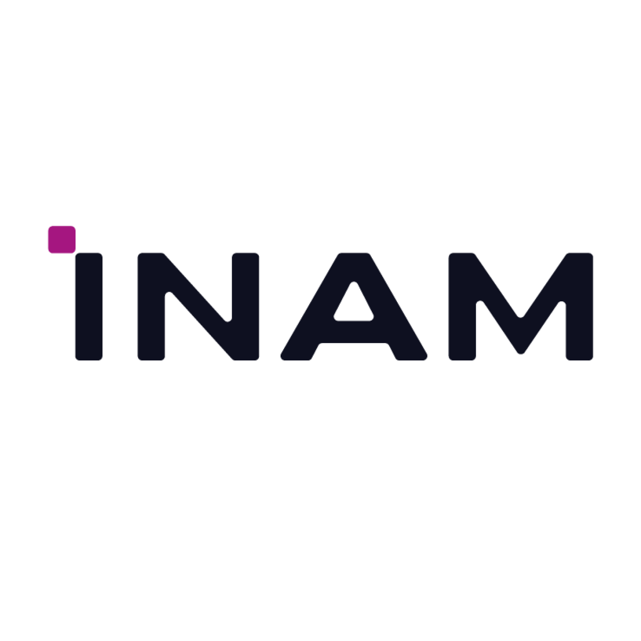 INAM Logo